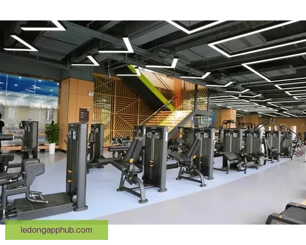 乐动体育客户端全新升级带来极致运动体验与智能互动服务 乐动体育客户端全新升级带来极致运动体验与智能互动服务